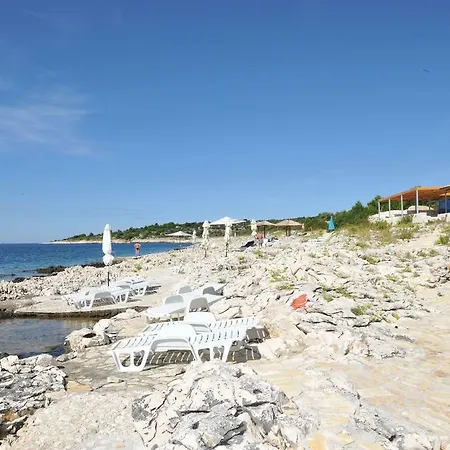 Darija * Zecevo